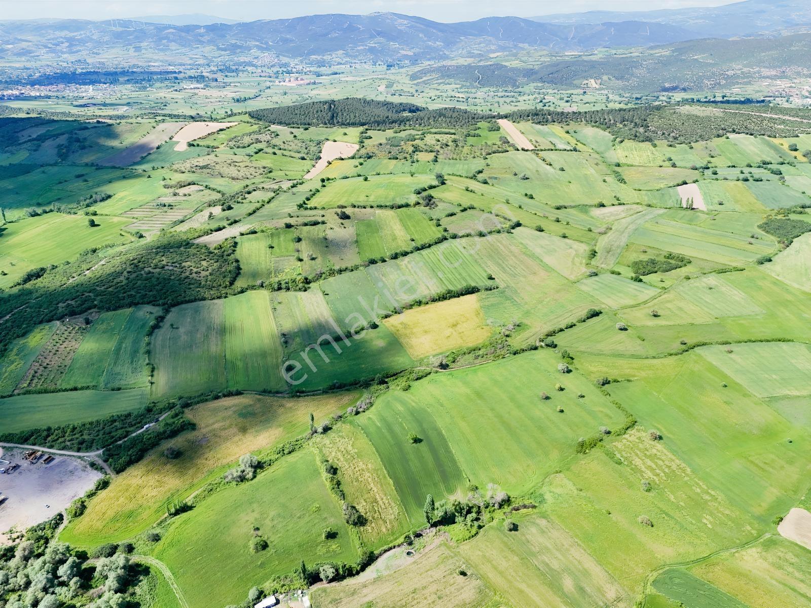 Nova'dan Kepsut Karaçaltı Köyünde 8550m² Resmi Yolu Olan Tarla - Görsel 11