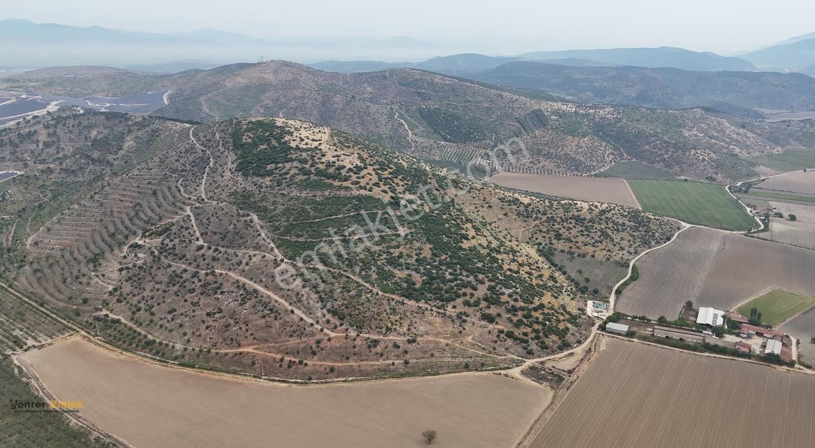 Yönter Emlak'tan Asfalta Cephe 286 Dönüm Dev Zeytin Bahçesi! - Görsel 13