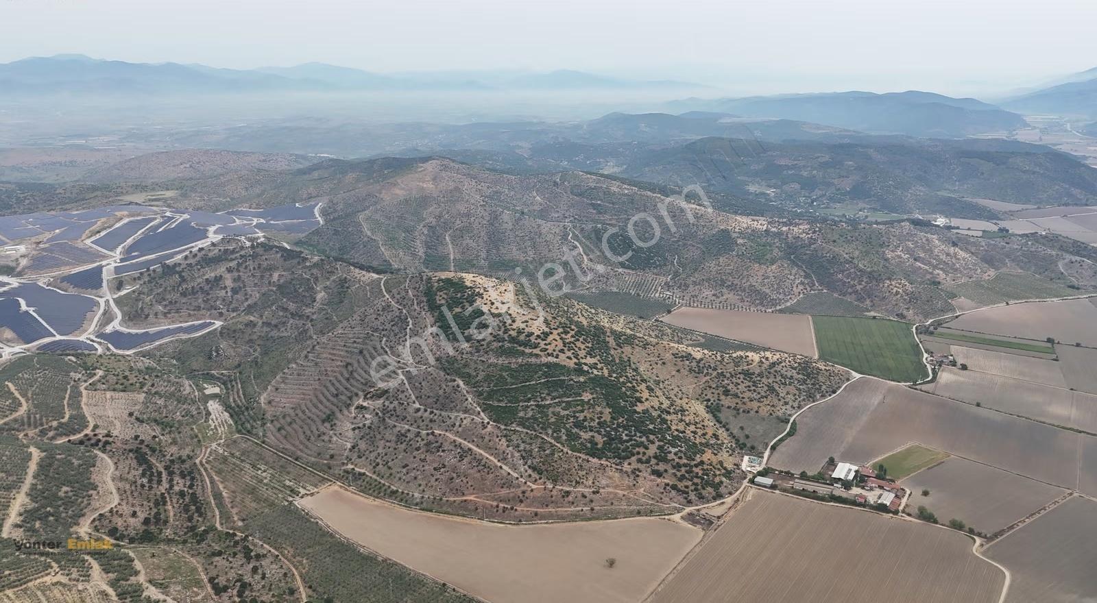 Yönter Emlak'tan Asfalta Cephe 286 Dönüm Dev Zeytin Bahçesi! - Görsel 16