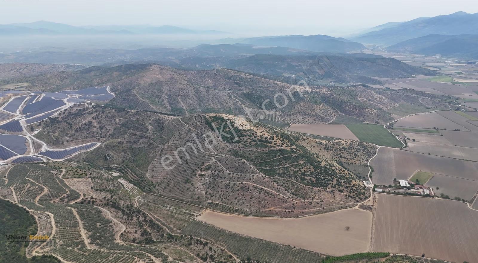 Yönter Emlak'tan Asfalta Cephe 286 Dönüm Dev Zeytin Bahçesi! - Görsel 8