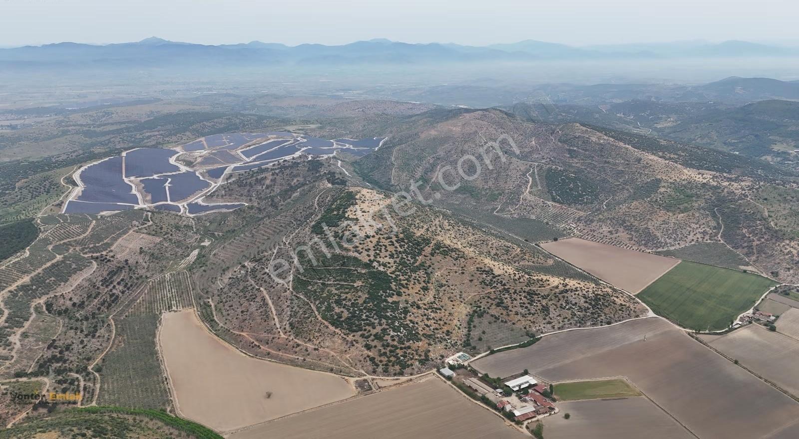 Yönter Emlak'tan Asfalta Cephe 286 Dönüm Dev Zeytin Bahçesi! - Görsel 18