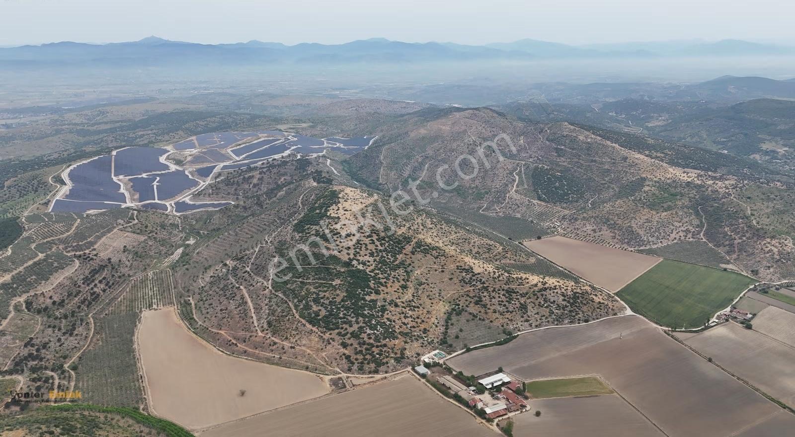 Yönter Emlak'tan Asfalta Cephe 286 Dönüm Dev Zeytin Bahçesi! - Görsel 20