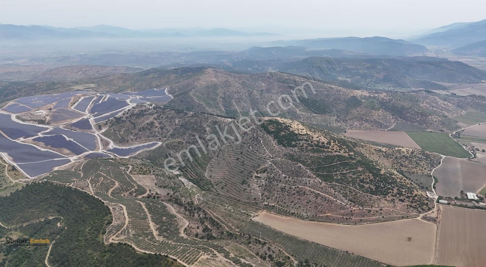 Yönter Emlak'tan Asfalta Cephe 286 Dönüm Dev Zeytin Bahçesi! - Görsel 9