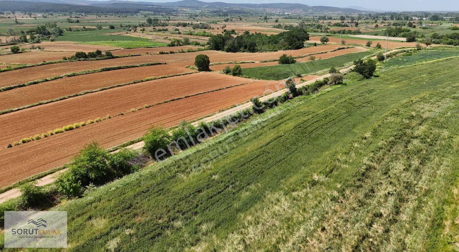 Seydiköyde Yatırımlık 23.676 M² Satılık Tarla - Görsel 21
