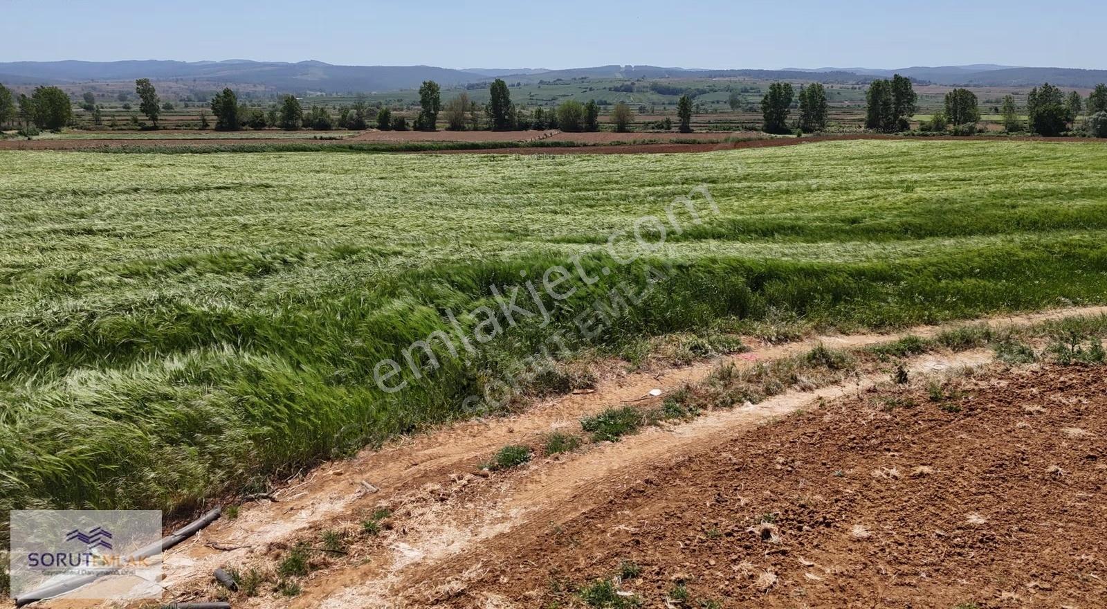 Seydiköyde Yatırımlık 23.676 M² Satılık Tarla - Görsel 18