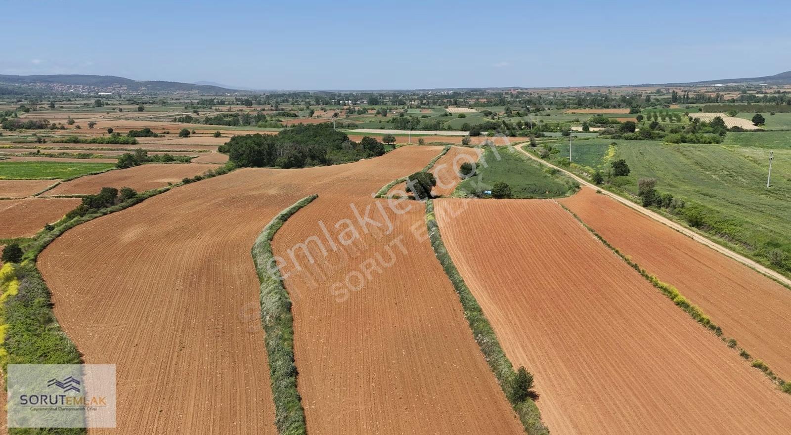 Seydiköyde Yatırımlık 23.676 M² Satılık Tarla - Görsel 6