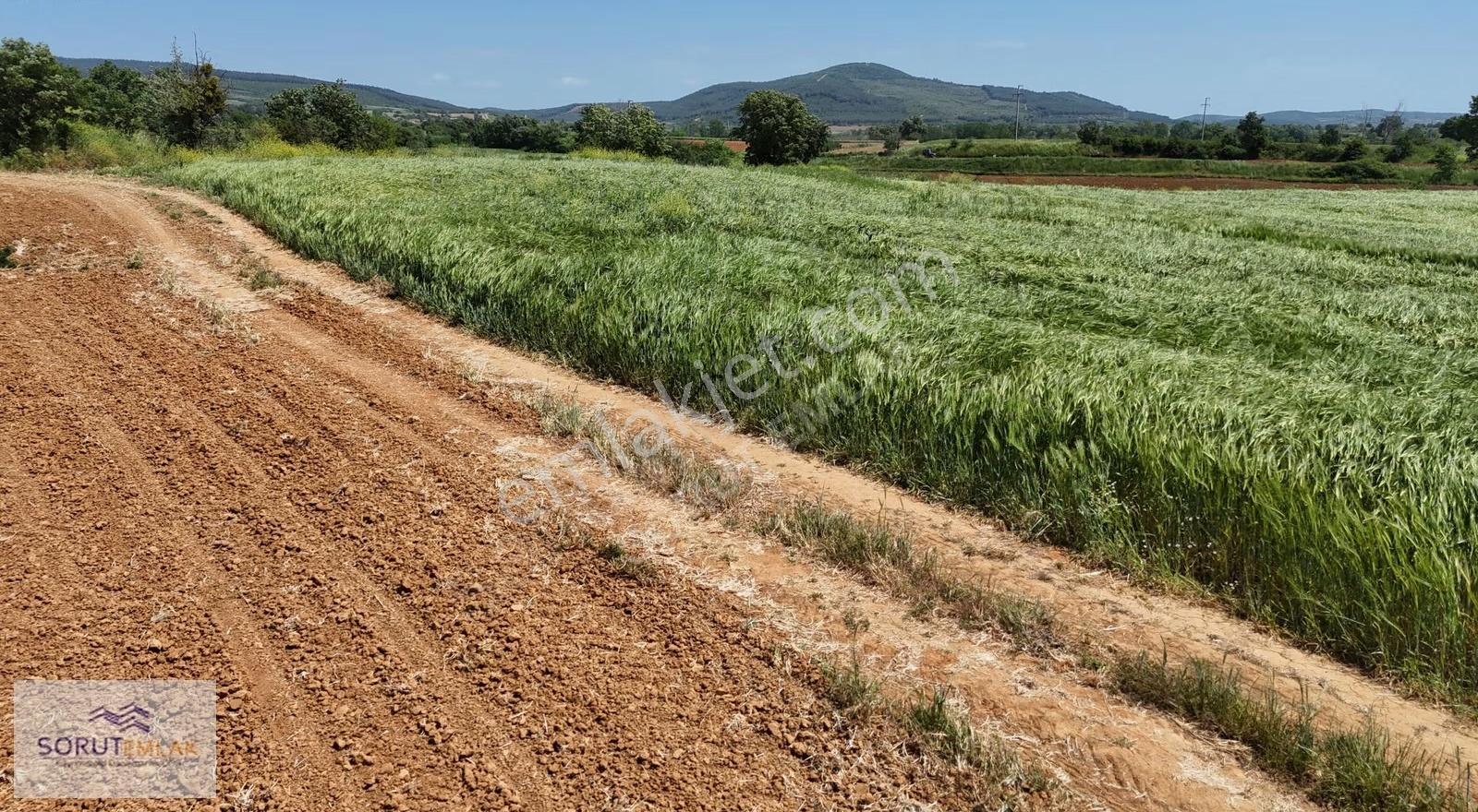 Seydiköyde Yatırımlık 23.676 M² Satılık Tarla - Görsel 2