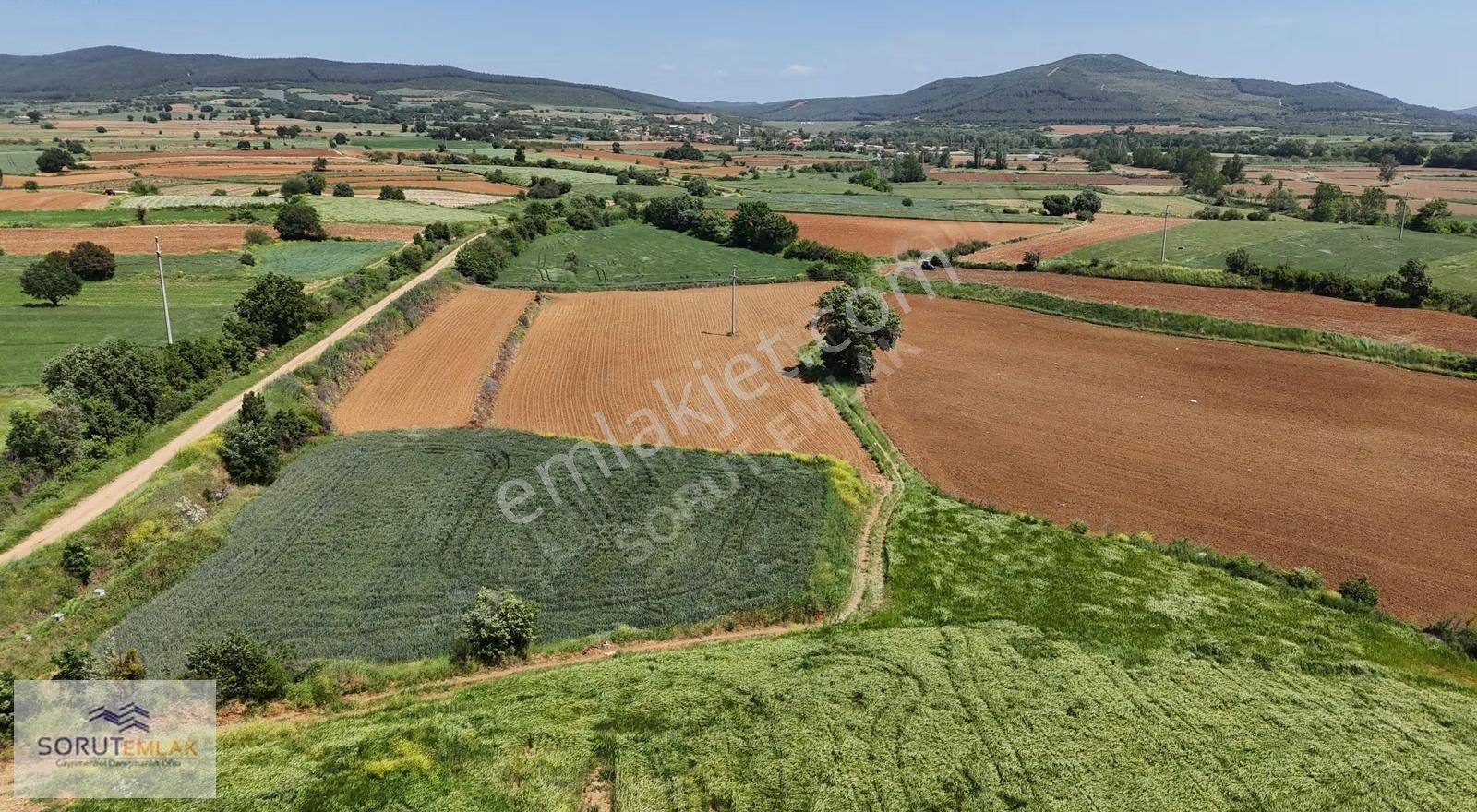 Seydiköyde Yatırımlık 23.676 M² Satılık Tarla - Görsel 11