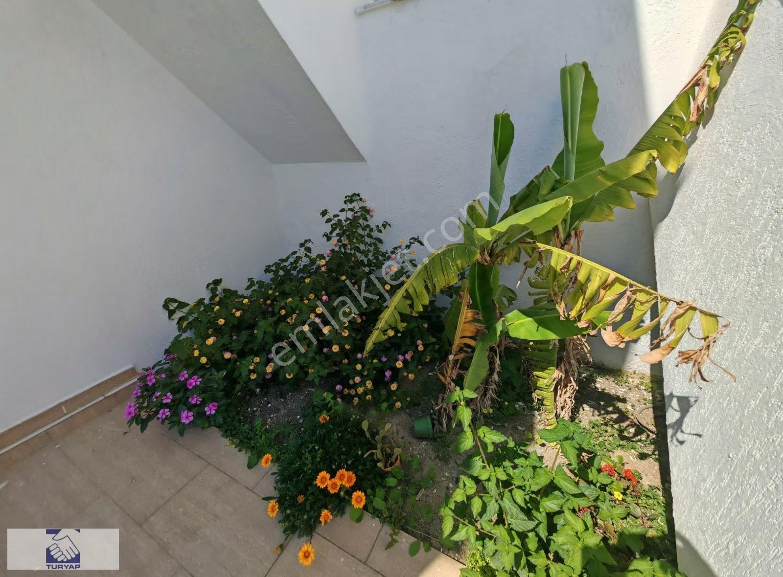 Denize Sıfır Kendi Plajı Olan Kiralık Villa Daire Side Kumköy - Görsel 11