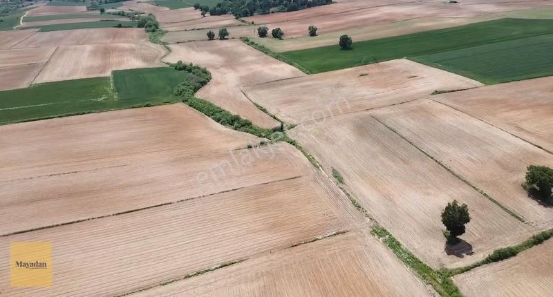 Mayadan Karıncak'ta Satılık 15.240m2 Yolu Olan Arazi - Görsel 27