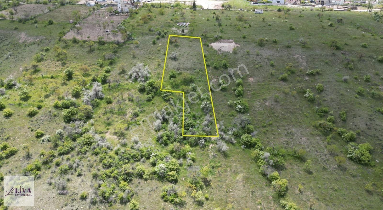 Liva'dan Reşadiye'de İmara 70 Metre 1933 M² Tek Tapu Bağ