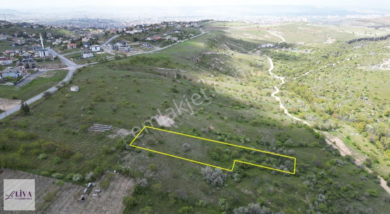 Liva'dan Reşadiye'de İmara 70 Metre 1933 M² Tek Tapu Bağ - Görsel 5