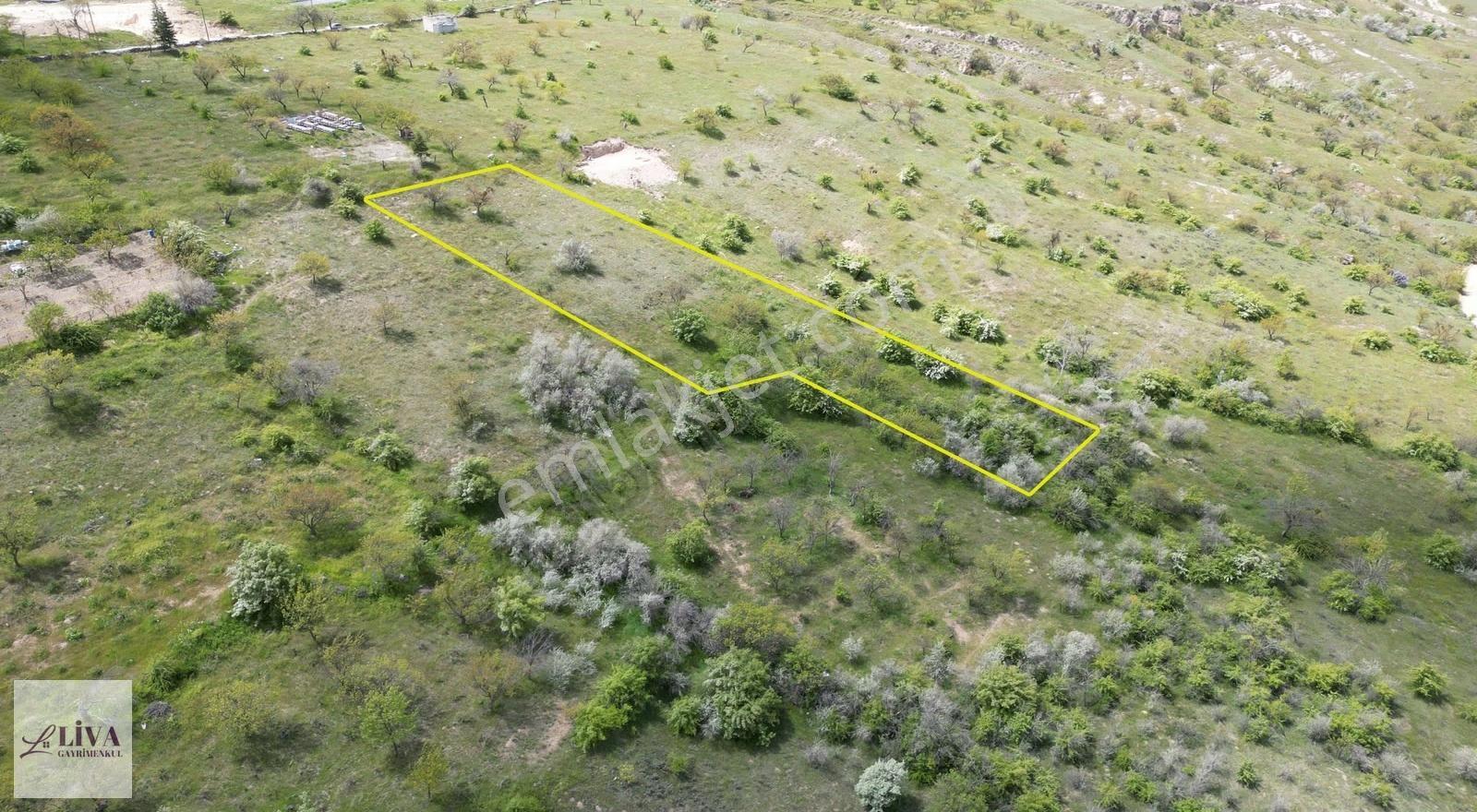 Liva'dan Reşadiye'de İmara 70 Metre 1933 M² Tek Tapu Bağ - Görsel 6