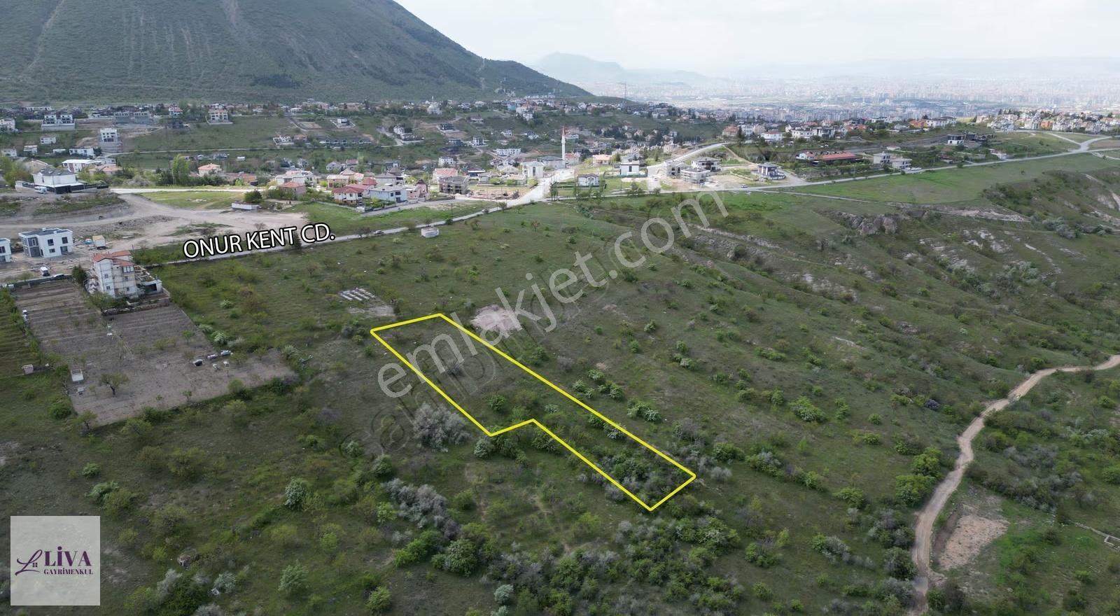 Liva'dan Reşadiye'de İmara 70 Metre 1933 M² Tek Tapu Bağ - Görsel 4
