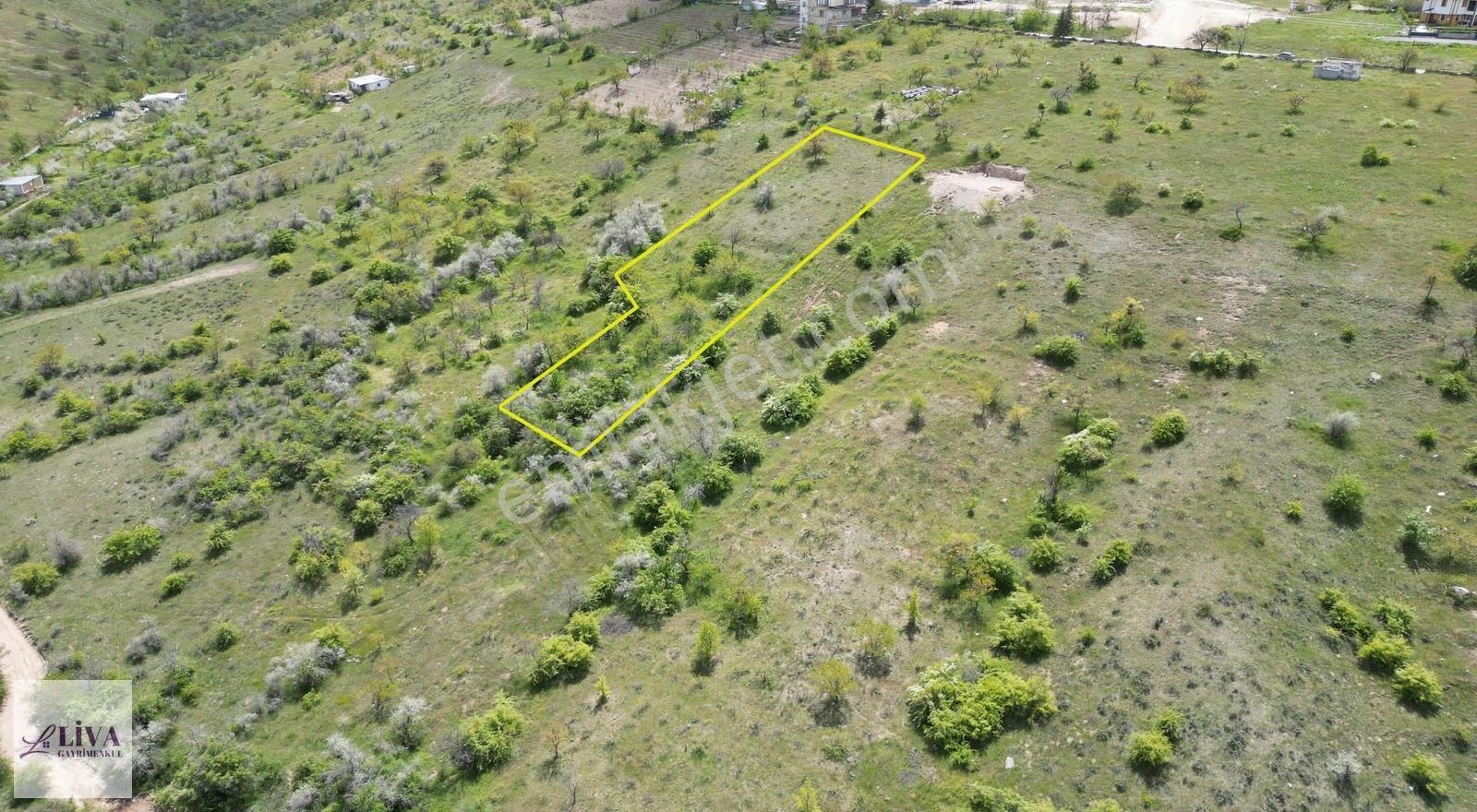 Liva'dan Reşadiye'de İmara 70 Metre 1933 M² Tek Tapu Bağ - Görsel 7
