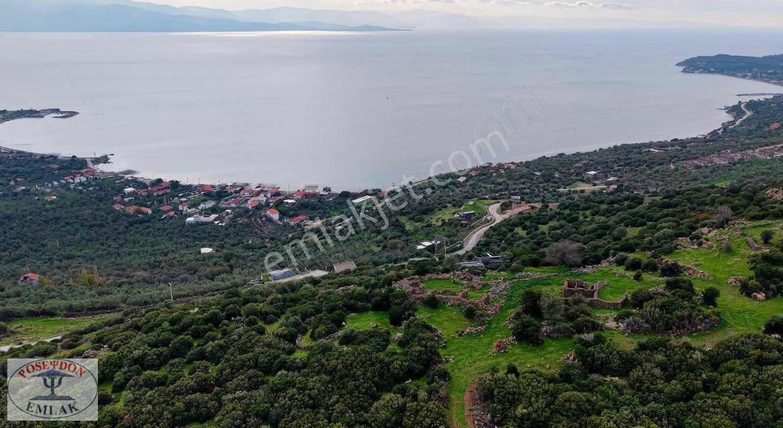 Assos Balabanlı Full Deniz Ve Midilli Manz. İmarlı Arsa 1.244 M2 - Görsel 12