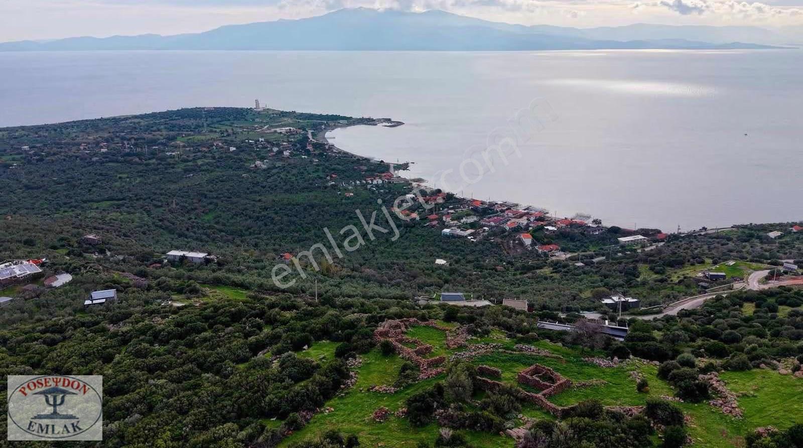 Assos Balabanlı Full Deniz Ve Midilli Manz. İmarlı Arsa 1.244 M2 - Görsel 3