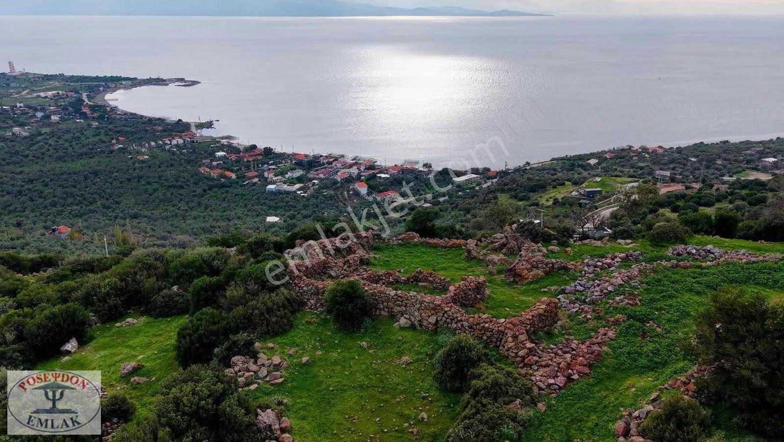 Assos Balabanlı Full Deniz Ve Midilli Manz. İmarlı Arsa 1.244 M2 - Görsel 10