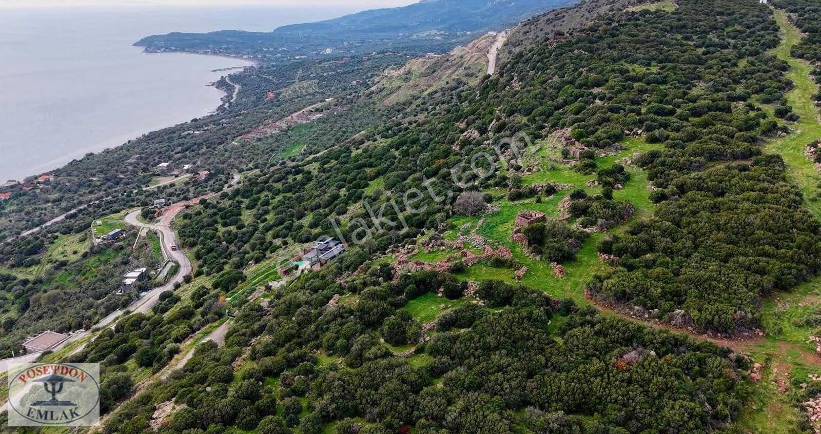 Assos Balabanlı Full Deniz Ve Midilli Manz. İmarlı Arsa 1.244 M2 - Görsel 13
