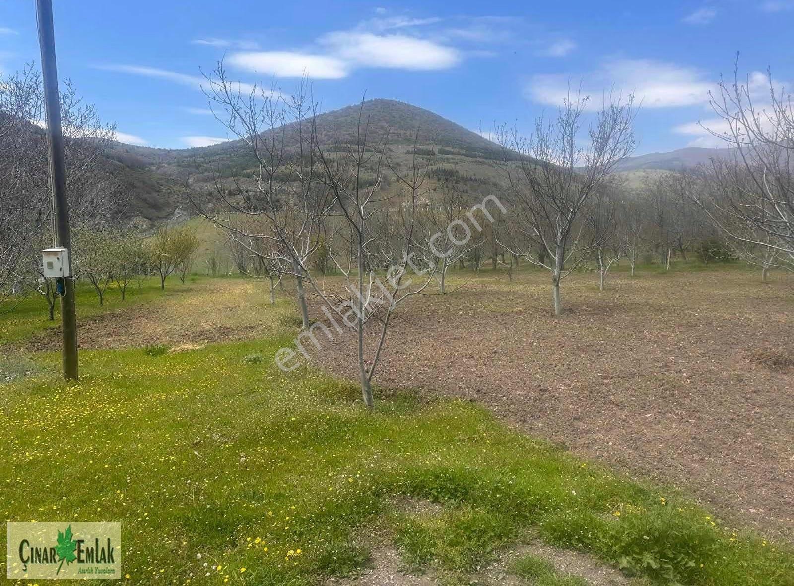 Çınar Emlak'tan Satılık Tarla-arazi - Görsel 11