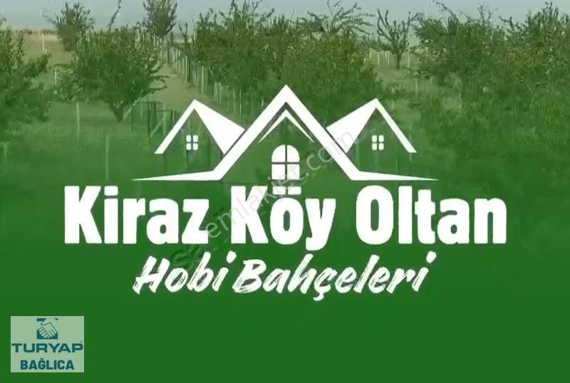 Oltan Kirazköy Kooperatifinden 241 M2 Meyve Bahçeleri