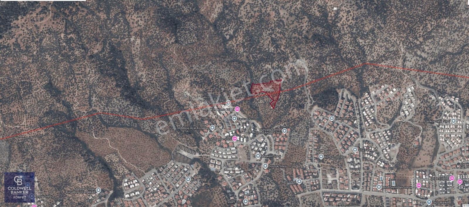 Deniz Manzaralı Konumu İle 7124 M² Zeytinlik - Görsel 2