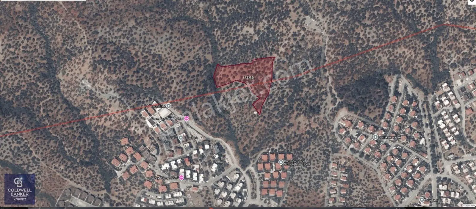 Deniz Manzaralı Konumu İle 7124 M² Zeytinlik - Görsel 4