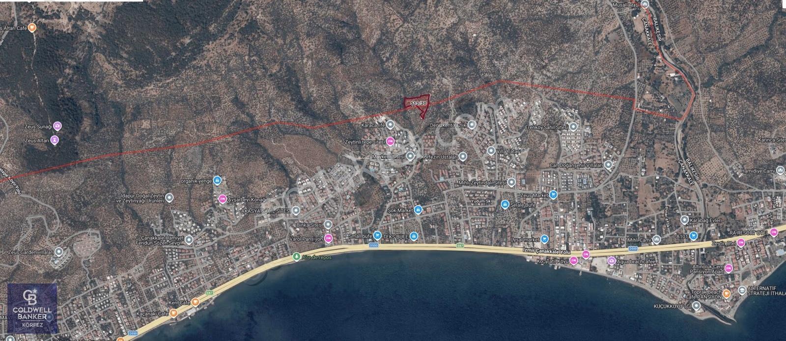 Deniz Manzaralı Konumu İle 7124 M² Zeytinlik - Görsel 3