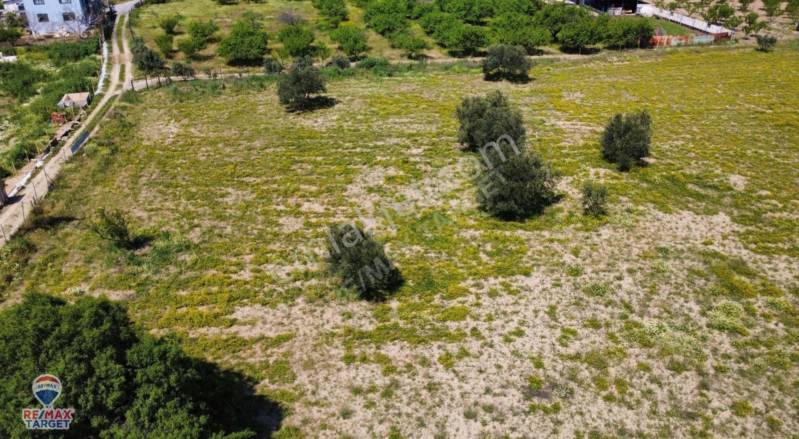 Menemen Merkeze 2 Km Mesafede 6630 M² Yol Cepheli Yatırımlık Yer - Görsel 3