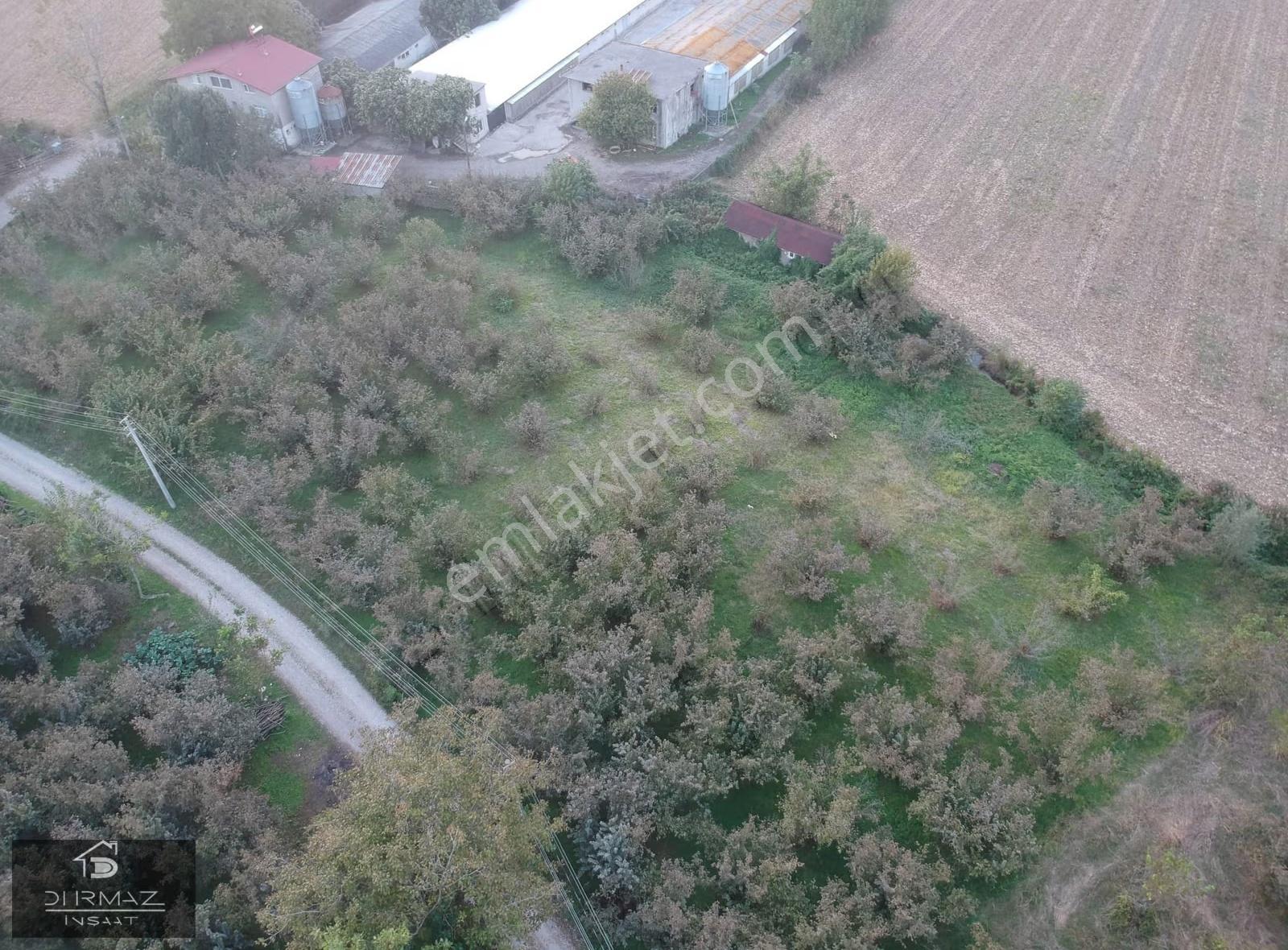 Sakarya Akyazı Kuzuluk'ta Yatırımın Yıldızı: Sanayi İmarlı Arazi - Görsel 5