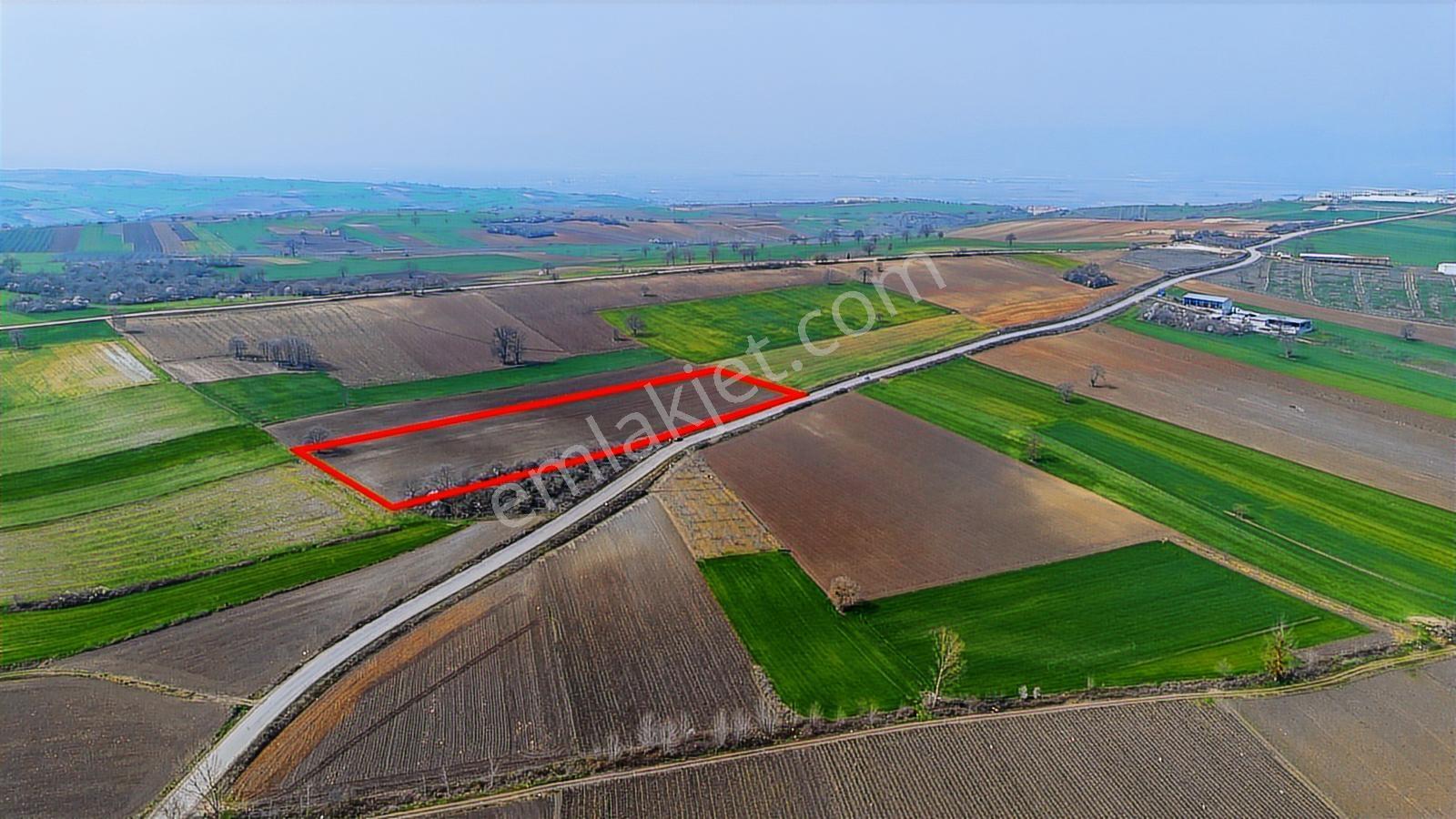 Remax Area Dan Yenişehirde Yola Cephe 14048 M2 Satılık Tarla - Görsel 11