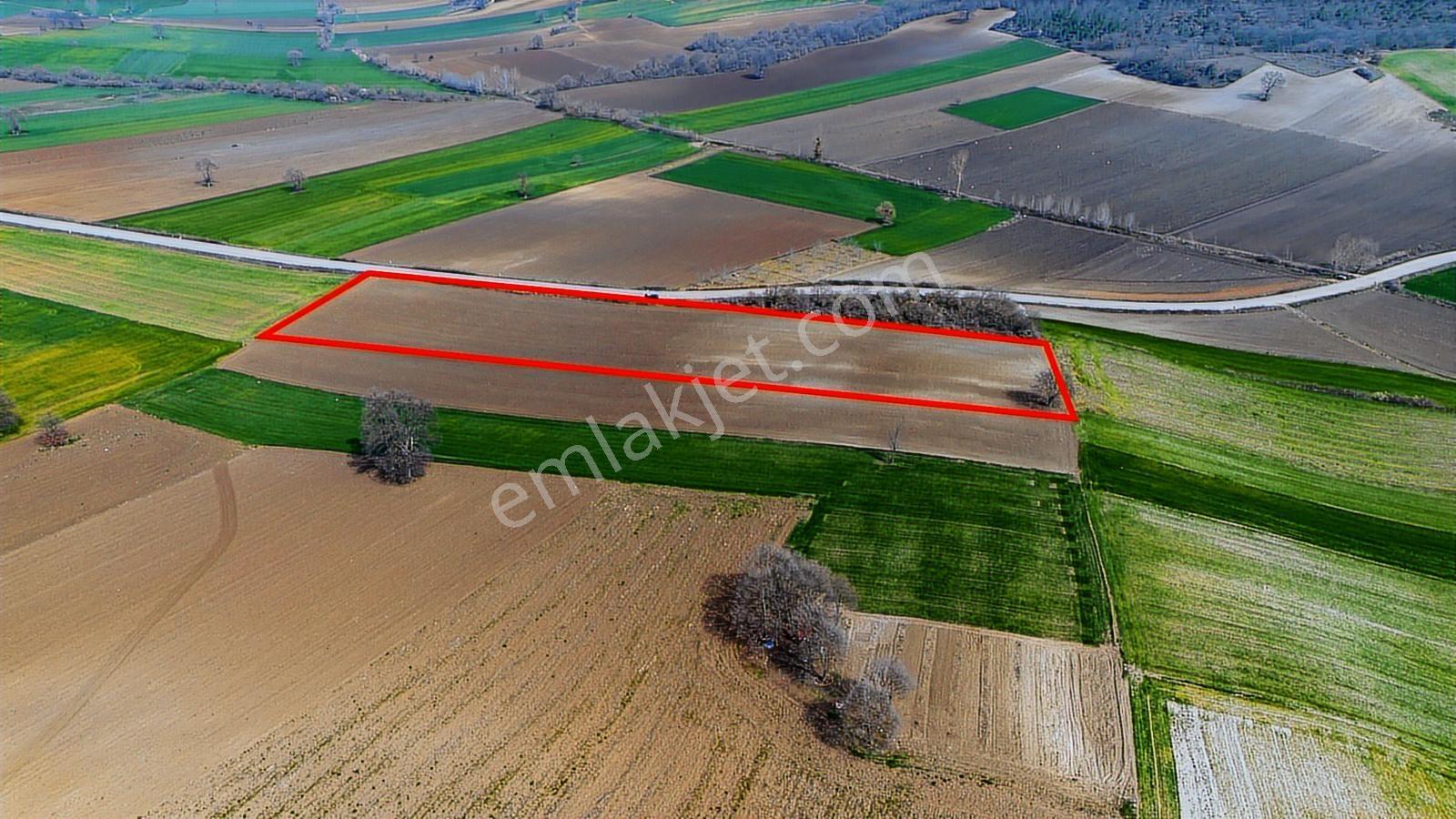 Remax Area Dan Yenişehirde Yola Cephe 14048 M2 Satılık Tarla - Görsel 30