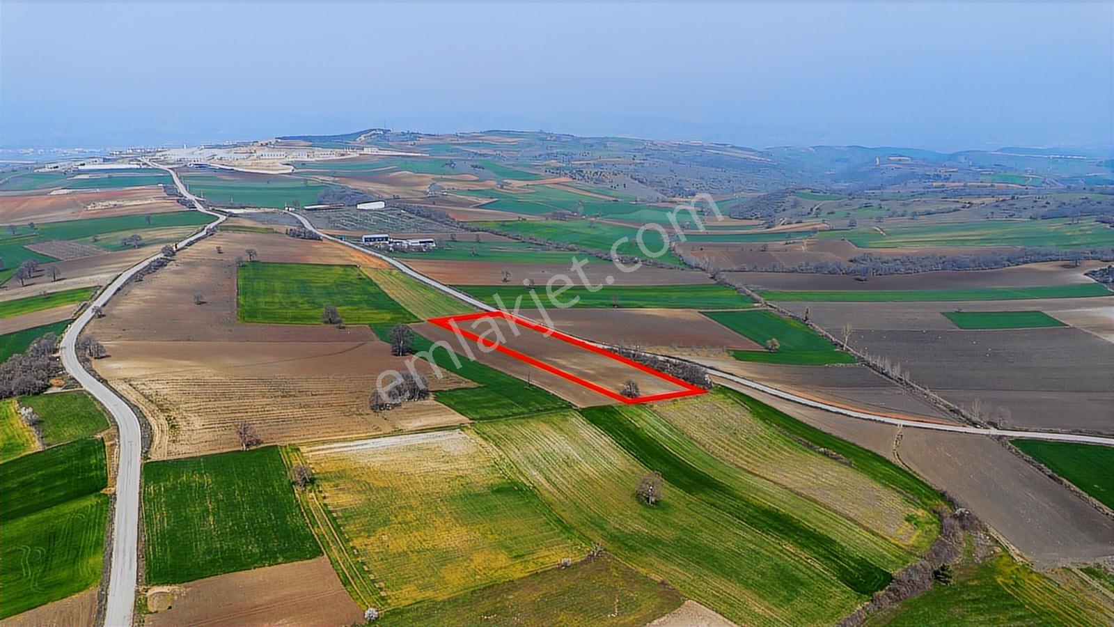 Remax Area Dan Yenişehirde Yola Cephe 14048 M2 Satılık Tarla - Görsel 13