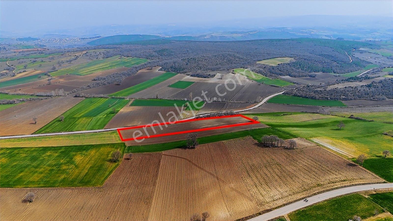 Remax Area Dan Yenişehirde Yola Cephe 14048 M2 Satılık Tarla - Görsel 15