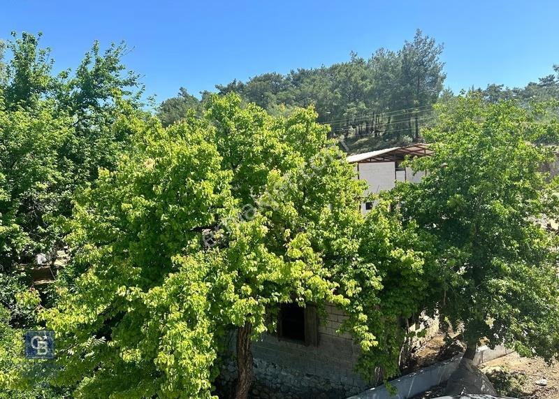 Muğla Köyceğiz Zeytinalanı Mahallesinde Kargir Ev Ve Avlusu - Görsel 10
