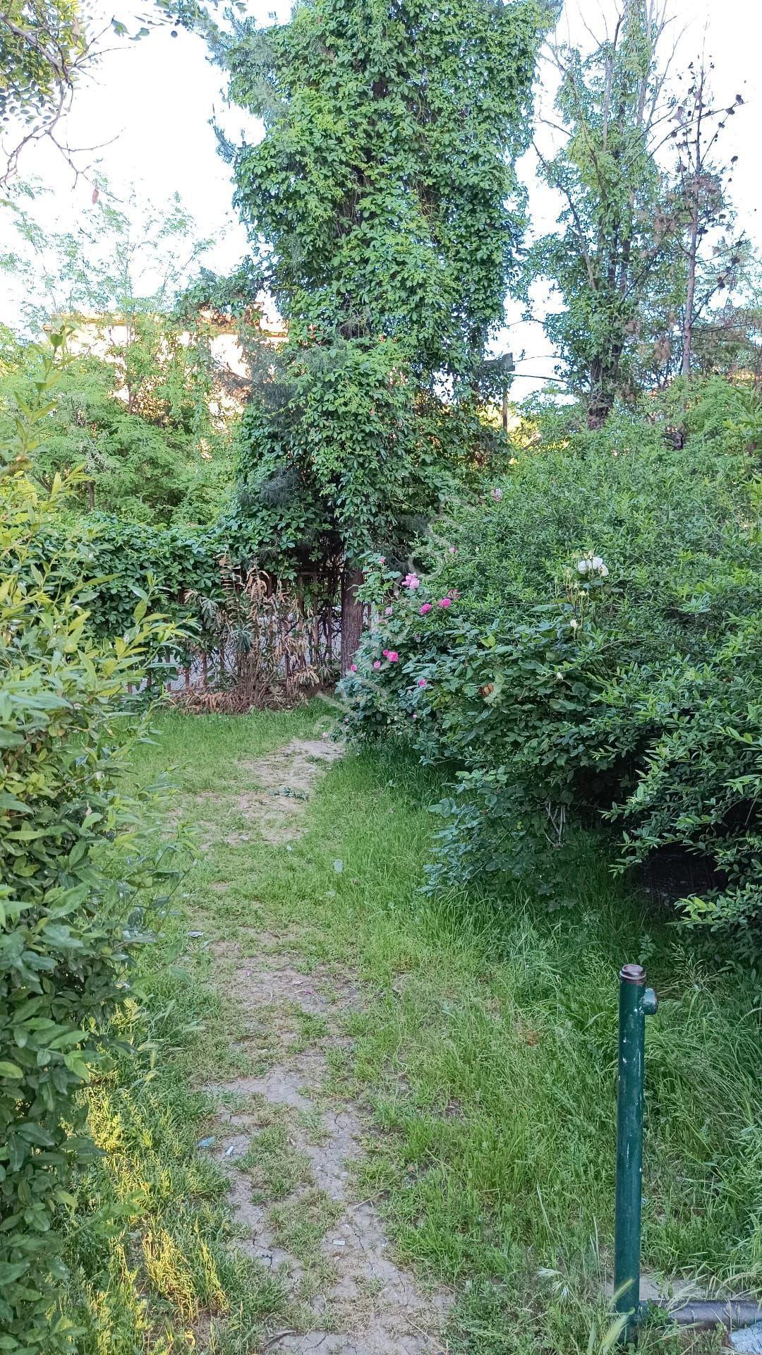 Era Extra Kadir Kandemir Tılmerç Toki'de Manzaralı Kiralık Daire - Görsel 3