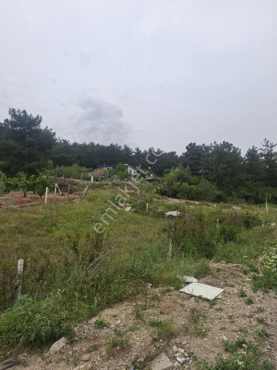 Bornova Yaka Köy Satılık Tapulu Arazi - Görsel 7