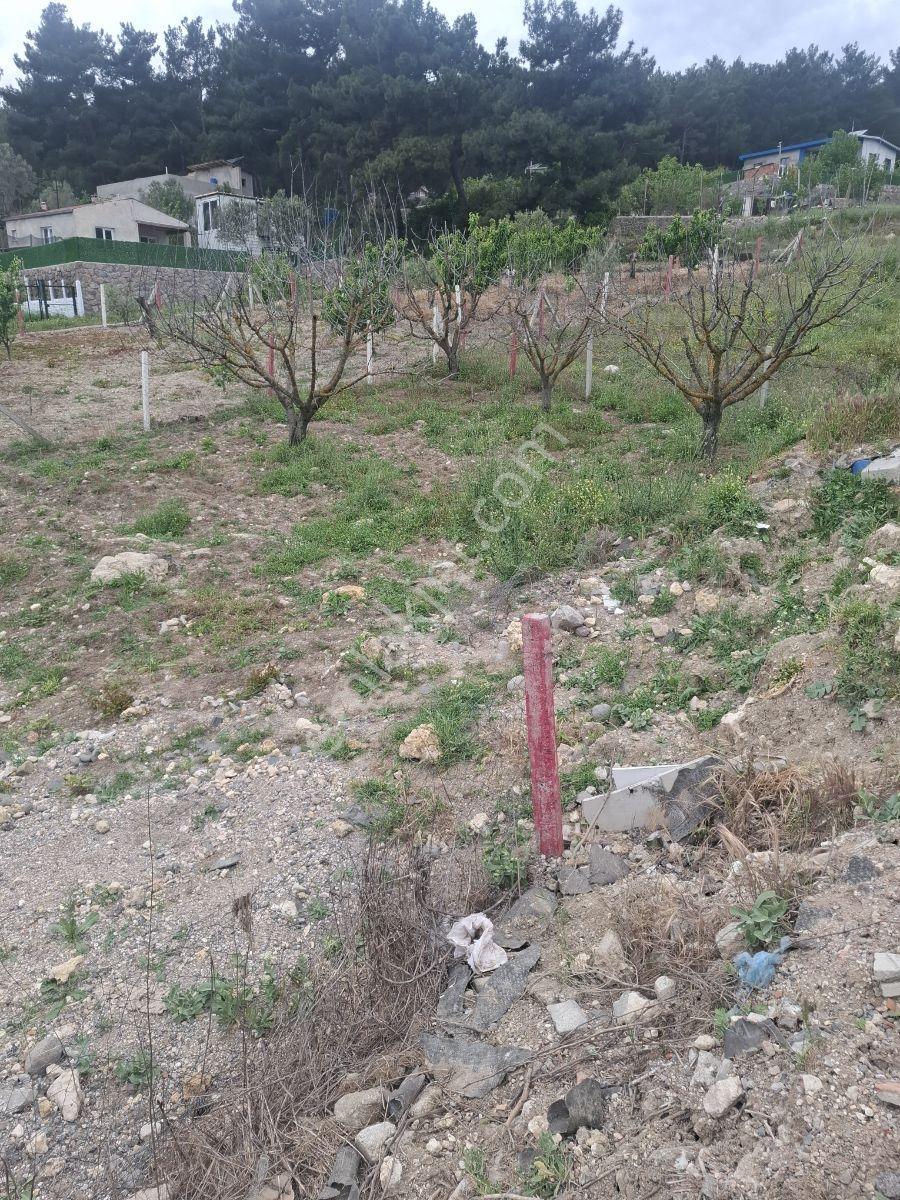 Bornova Yaka Köy Satılık Tapulu Arazi - Görsel 6