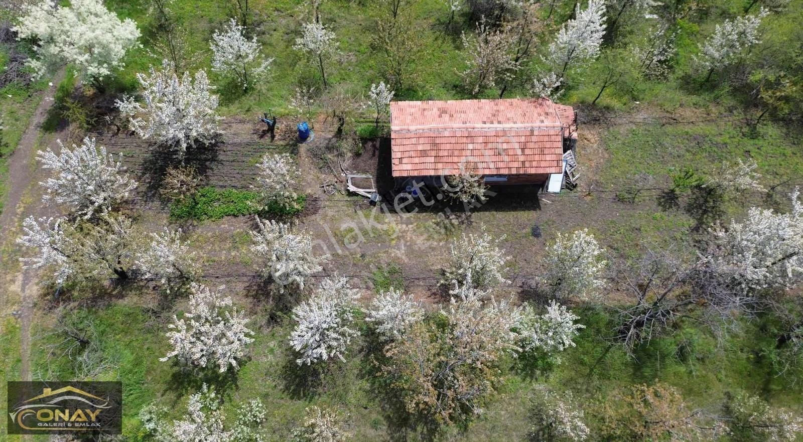 Onay Emlak'tan Aydınlıkta 800 M2 Hobi Bahçesi - Görsel 8