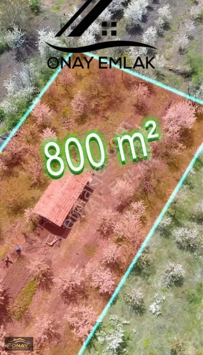 Onay Emlak'tan Aydınlıkta 800 M2 Hobi Bahçesi