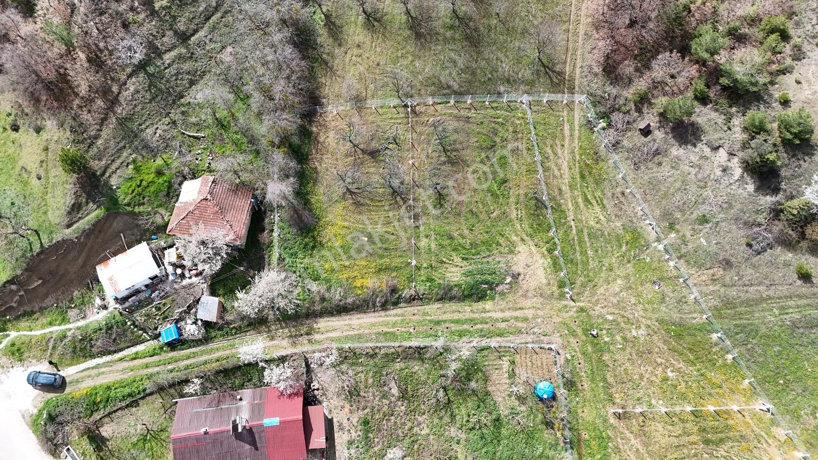 Sakarya Geyve Acil 528 M2 Plan Projesi Hazır Hemen İnşaata Başla - Görsel 2