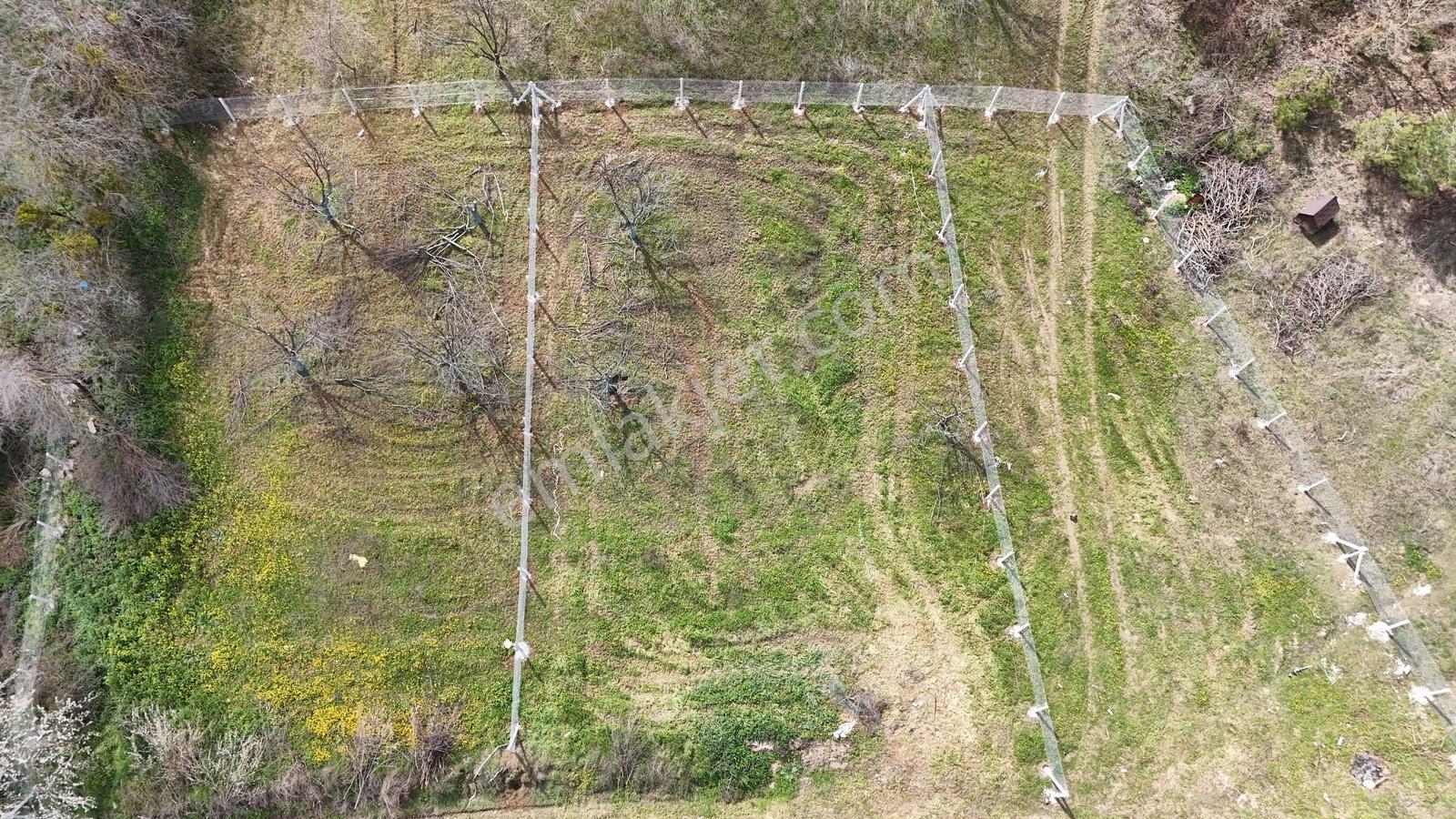 Sakarya Geyve Acil 528 M2 Plan Projesi Hazır Hemen İnşaata Başla - Görsel 4