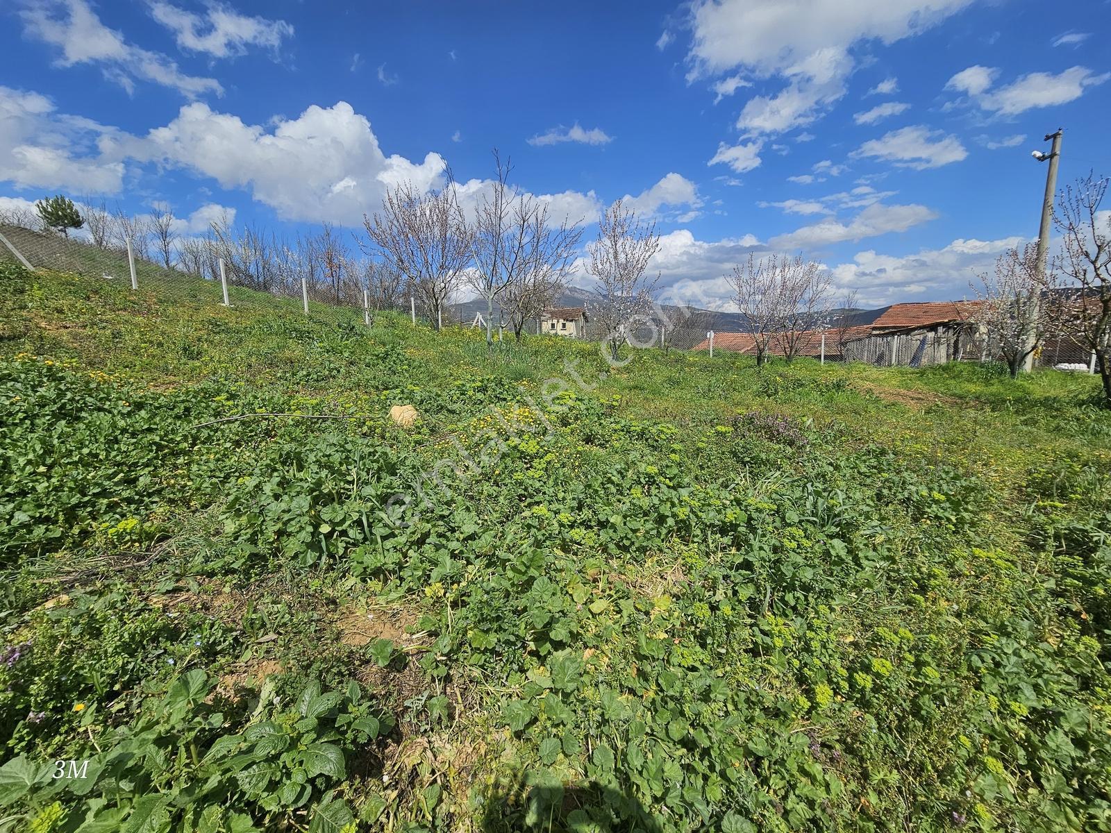 Sakarya Geyve Acil 528 M2 Plan Projesi Hazır Hemen İnşaata Başla - Görsel 16