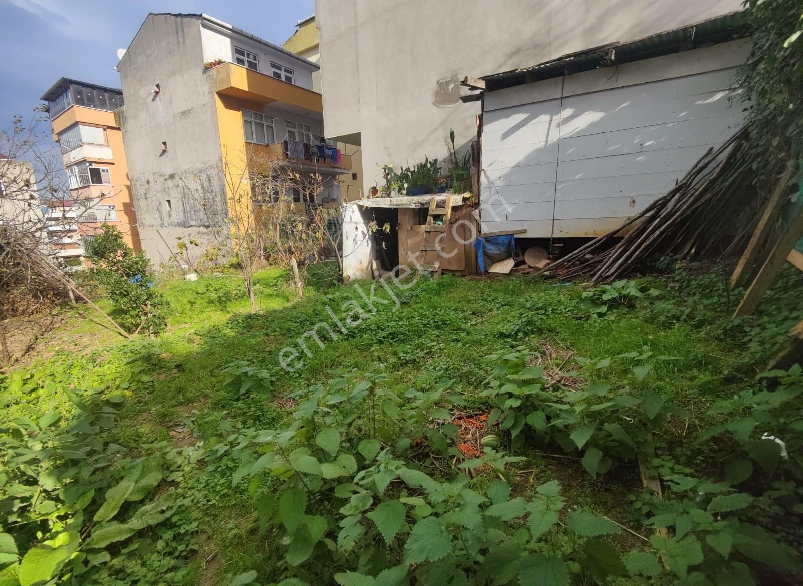 Yalıncak Adli Tıp Üstü Sahile Yakın 4 Kat İmarlı Arsa - Görsel 23