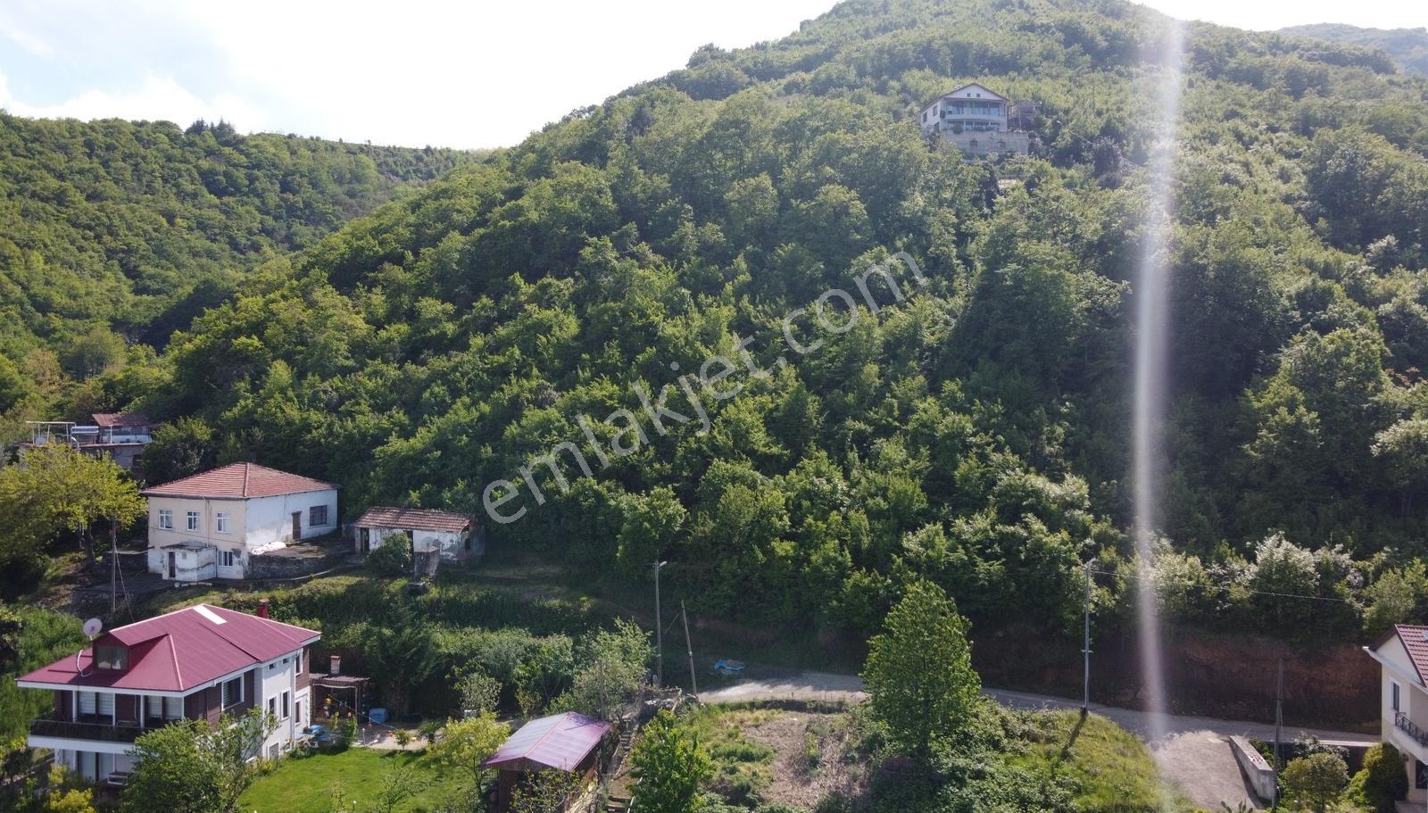 Mersinde Sahile Ve Plaja Yakın İmarlı Satılık Arsa - Görsel 18