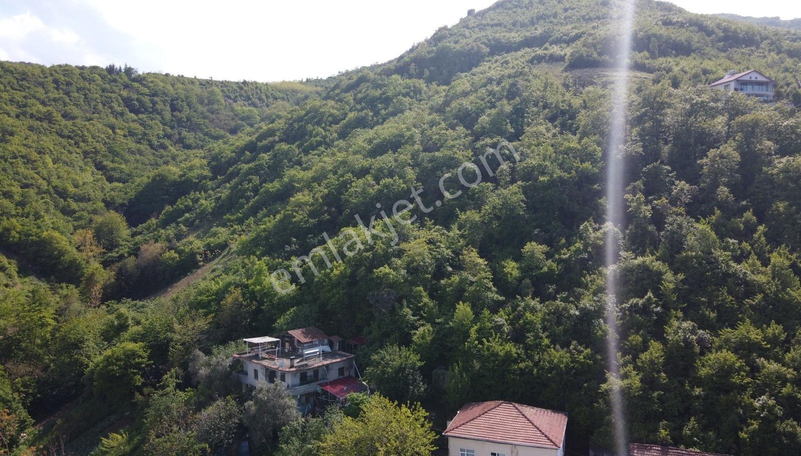 Mersinde Sahile Ve Plaja Yakın İmarlı Satılık Arsa - Görsel 2
