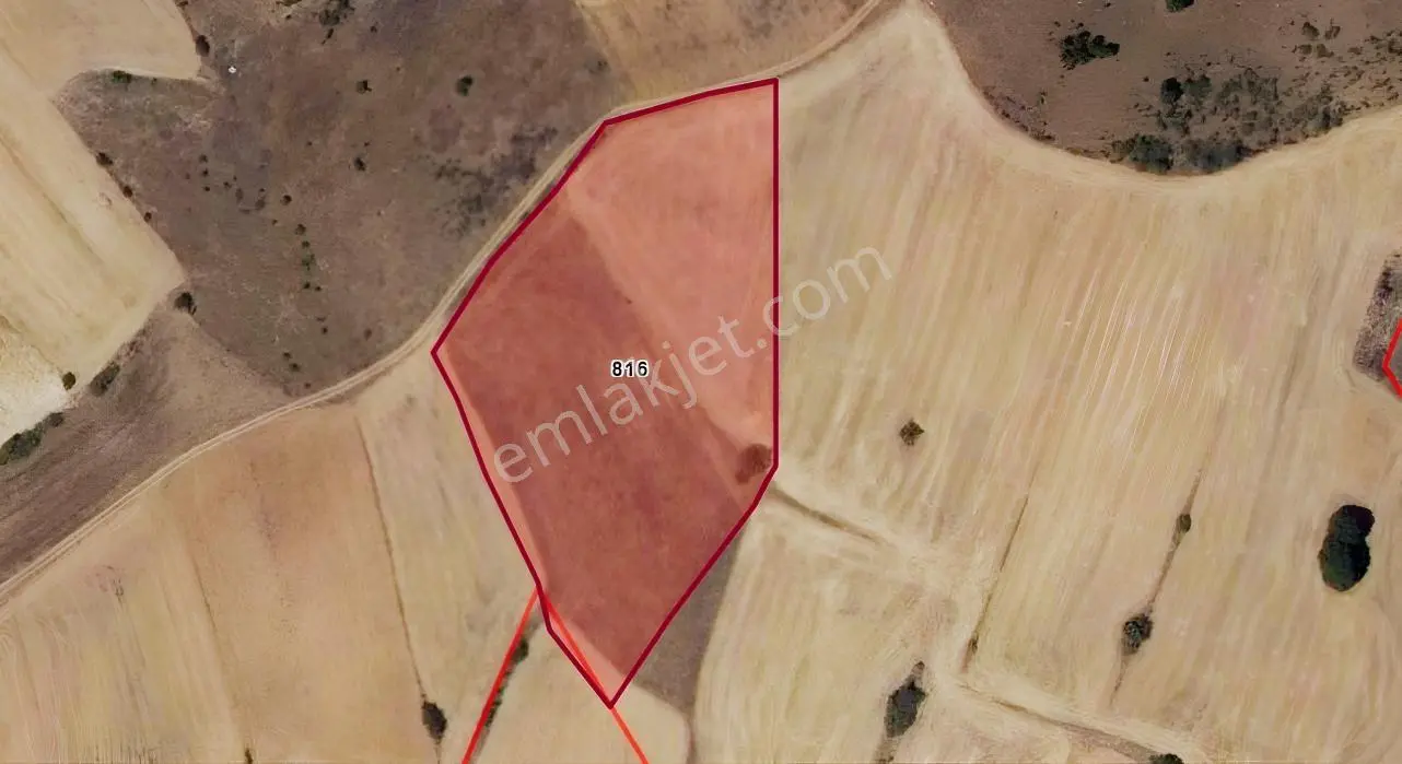 Isparta Yalvaç Bağkonak'ta 11.350 M2 Ana Yola Yakın Fırsat Tarla - Görsel 4