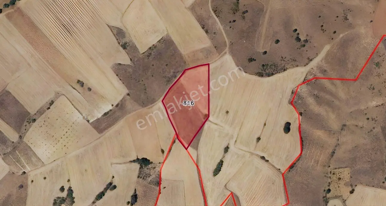 Isparta Yalvaç Bağkonak'ta 11.350 M2 Ana Yola Yakın Fırsat Tarla - Görsel 5