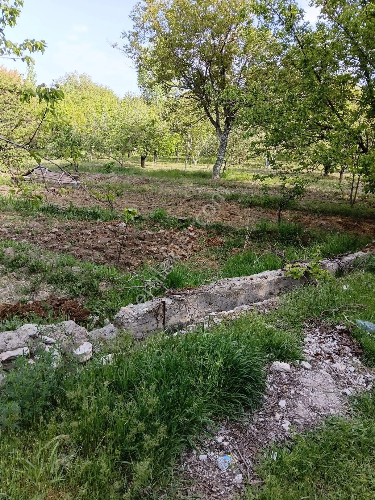 Halkapınar Bahçelievlerde Elektriği,suyu Olan 4.400 M² Bahçedir - Görsel 3
