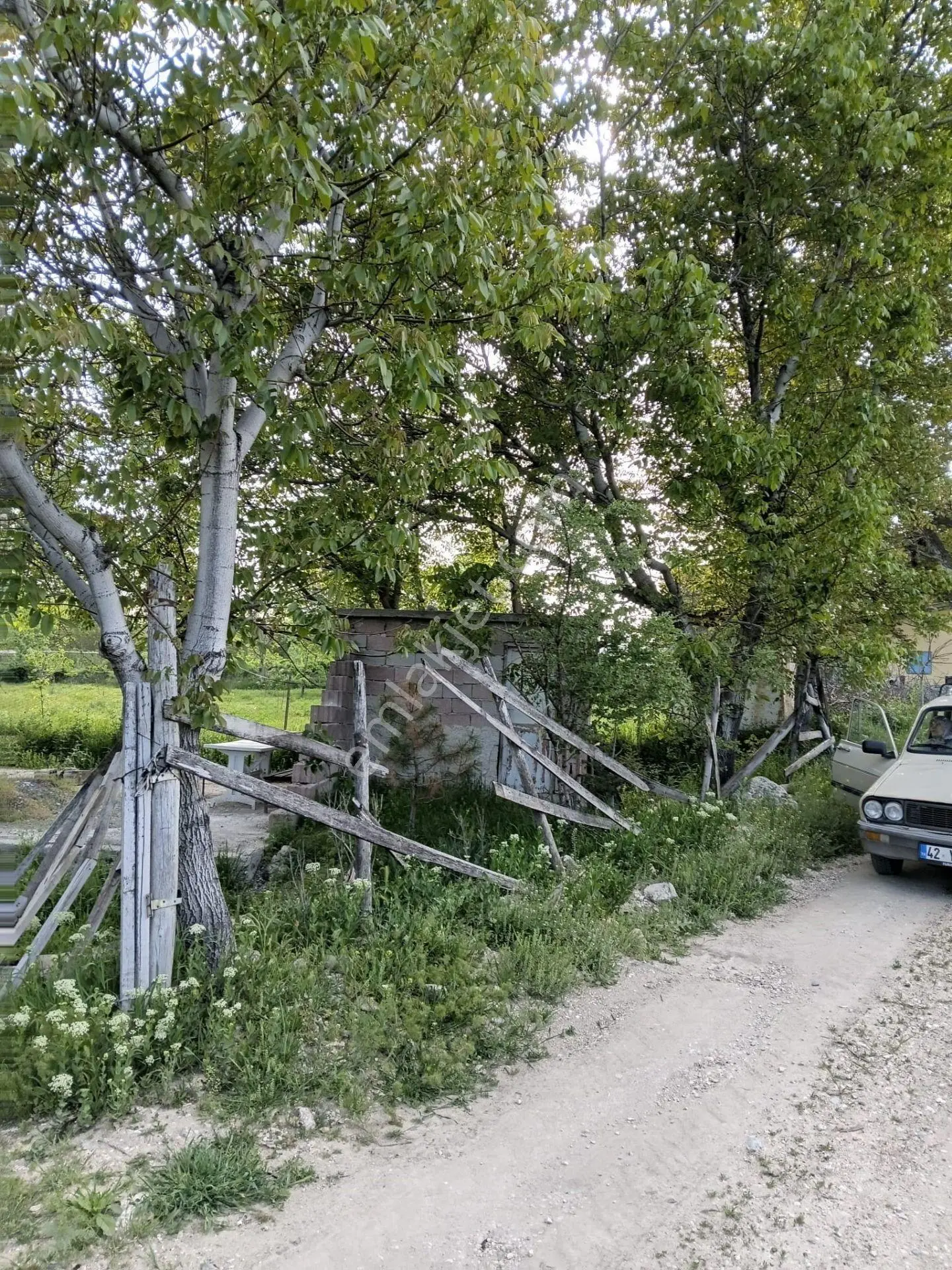 Halkapınar Bahçelievlerde Elektriği,suyu Olan 4.400 M² Bahçedir - Görsel 4
